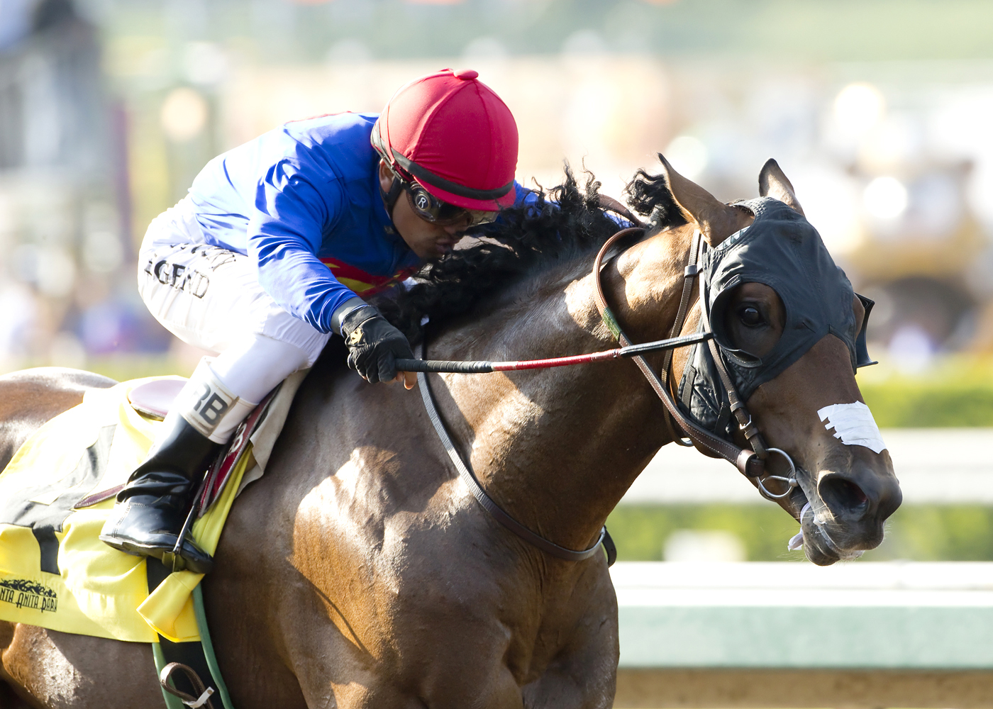 Avanti Bello wins the Tiznow Stakes