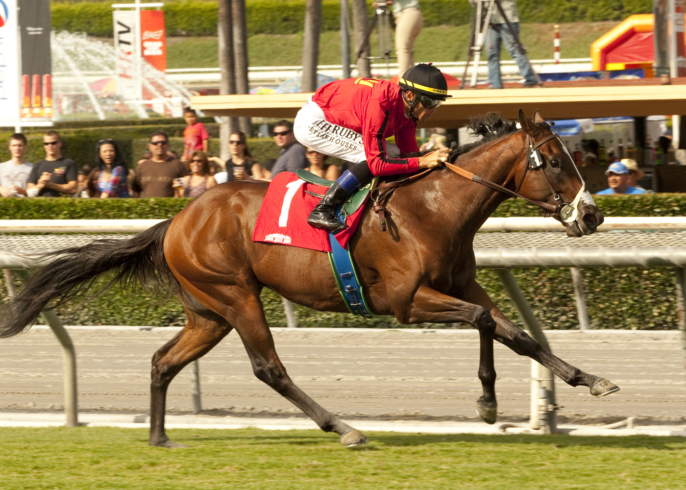 Avare/maiden race