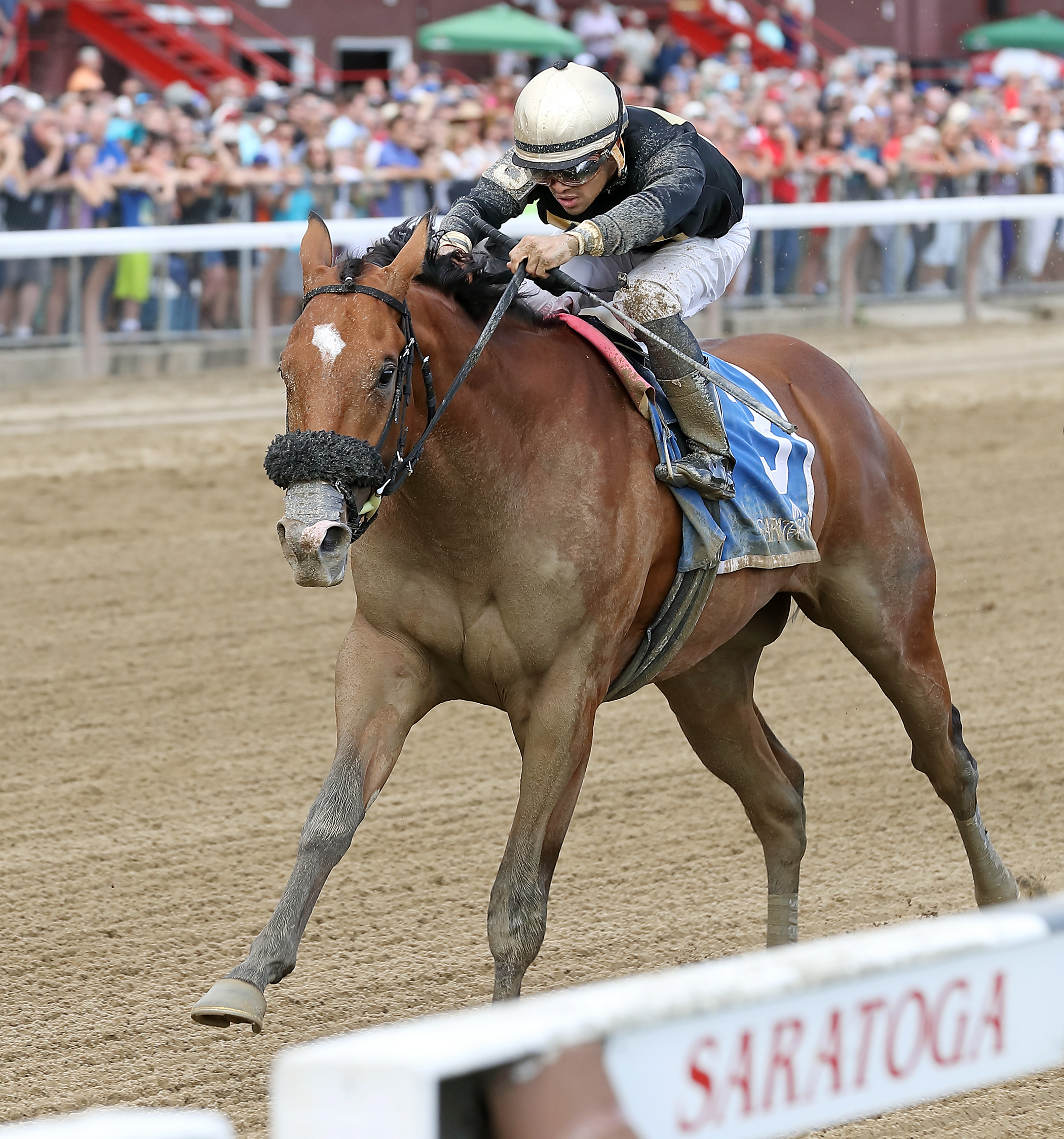 Aveenue Malcainu wins the 2017 Funny Cide