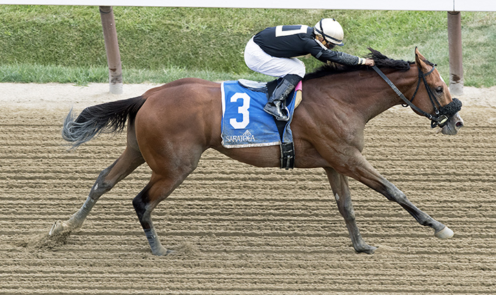 Aveenu Malcainu wins the 2017 Funny Cide Stakes