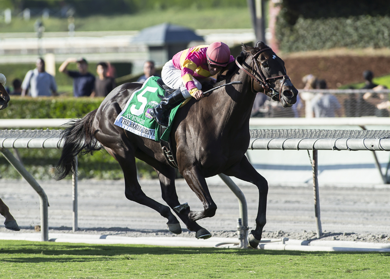 Avenge wins the 2017 Rodeo Drive Stakes