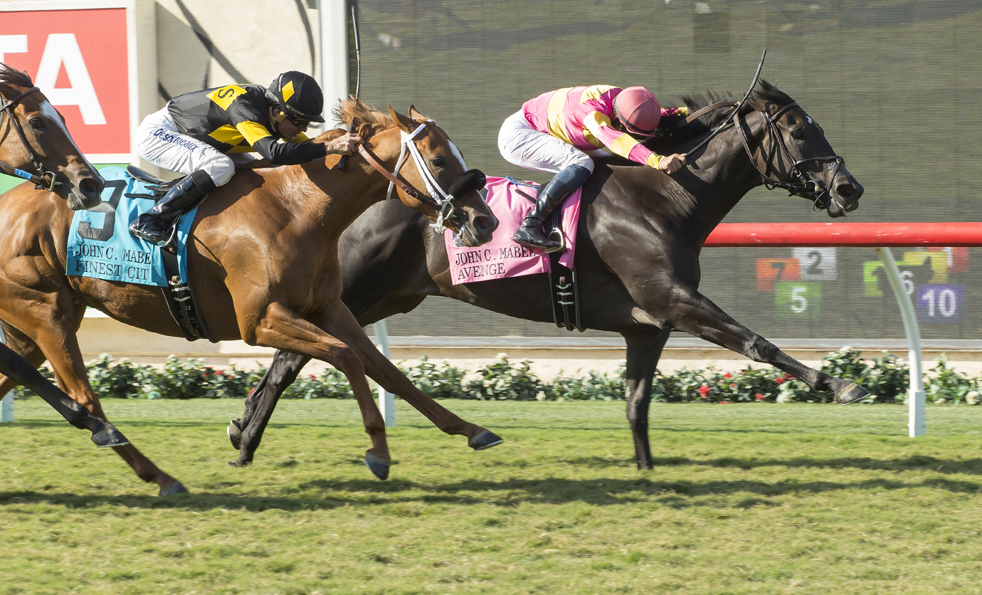 Avenge wins the John C. Mabee