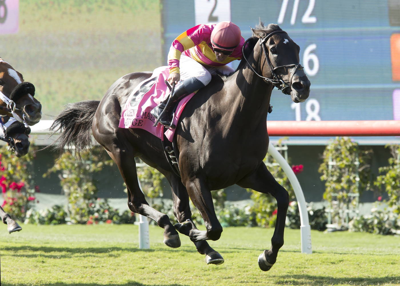 Avenge wins the John C. Mabee