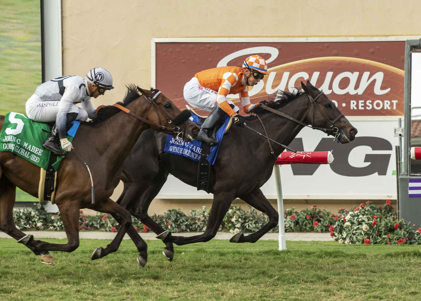 Avenue de France wins John Mabee Stakes 9-10-2022