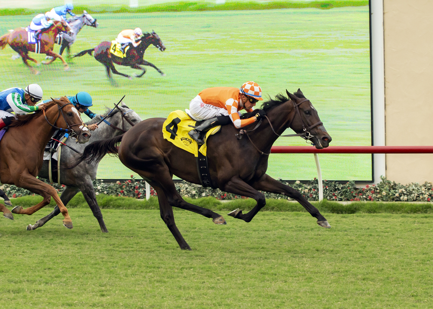 Avenue de France wins Osunitas Stakes 7-23-2022