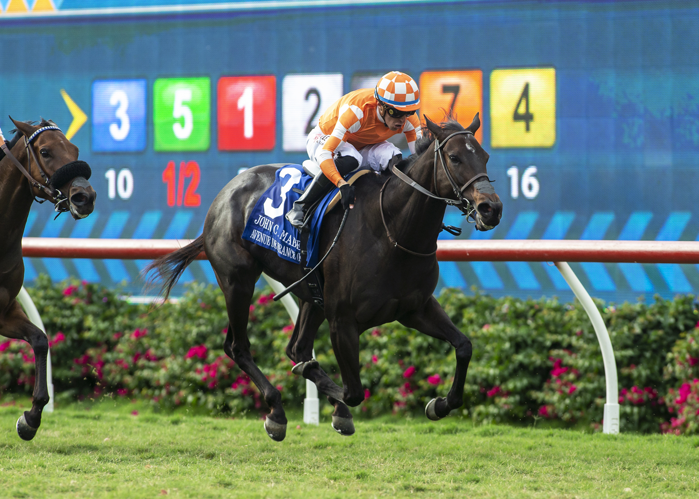Avenue de France wins the John Mabee at Del Mar Sept 10 2022
