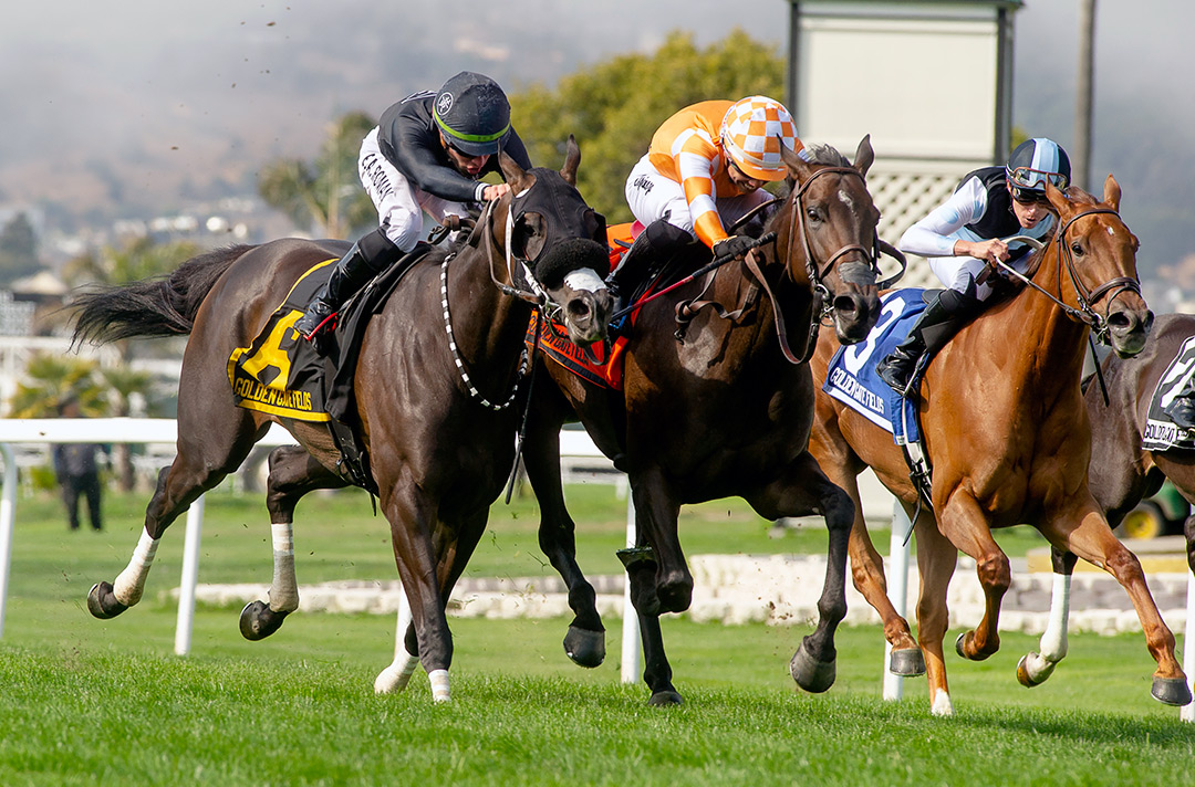 Avenue de France (center) wins the 2021 Luther Burbank Stakes at Golden Gate
