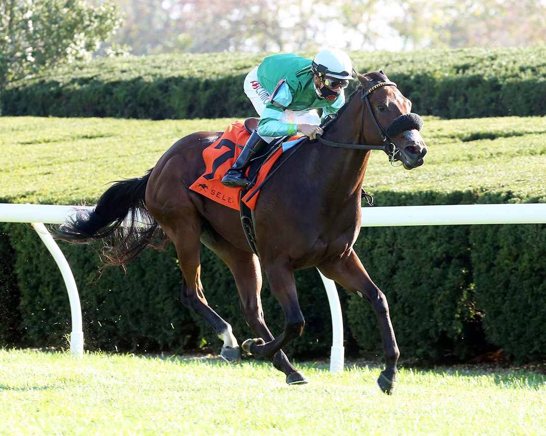 Averly Jane wins the 2021 Indian Summer Stakes at Keeneland
