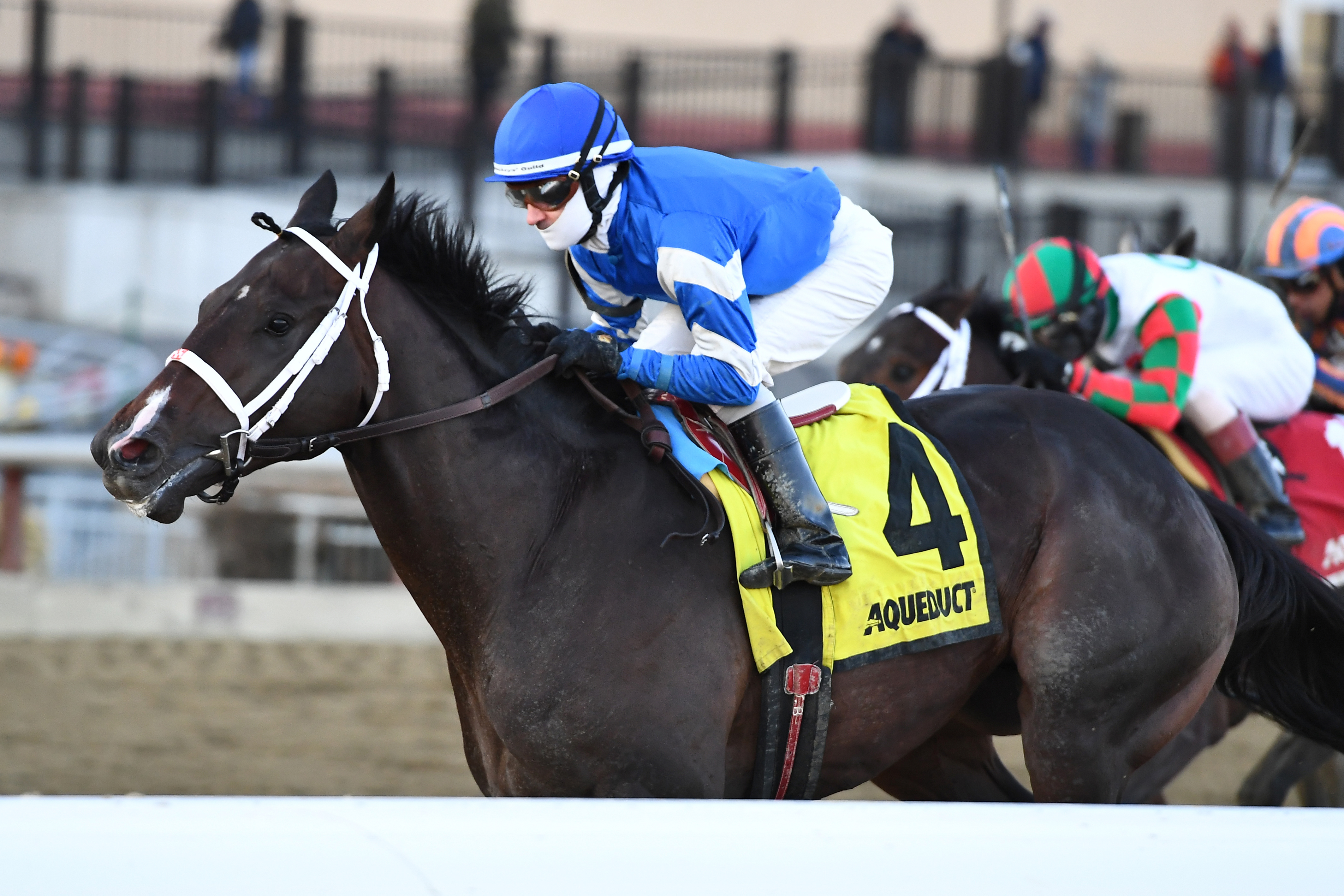 Avery Island wins the 2018 Withers