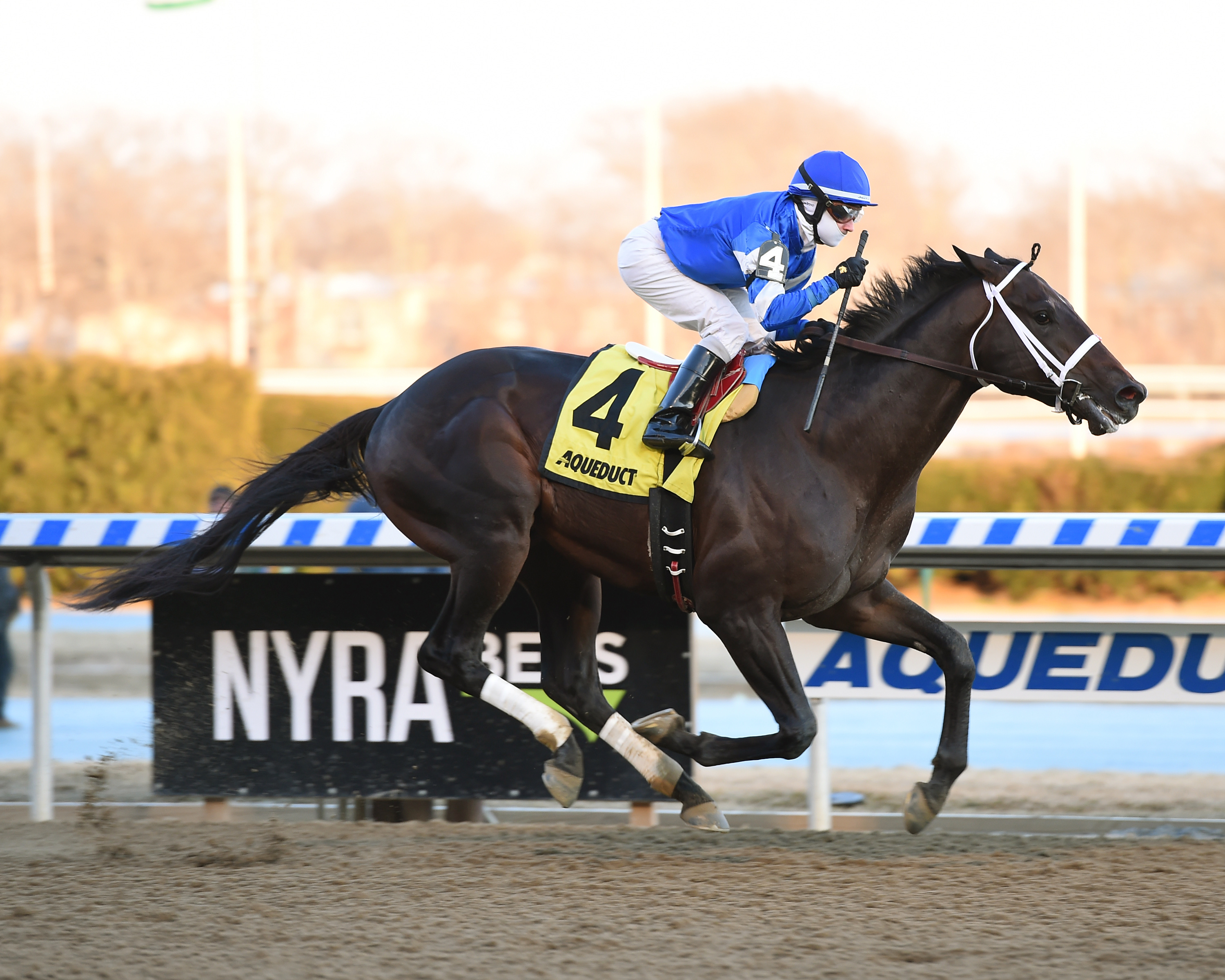 Avery Island wins the 2018 Withers