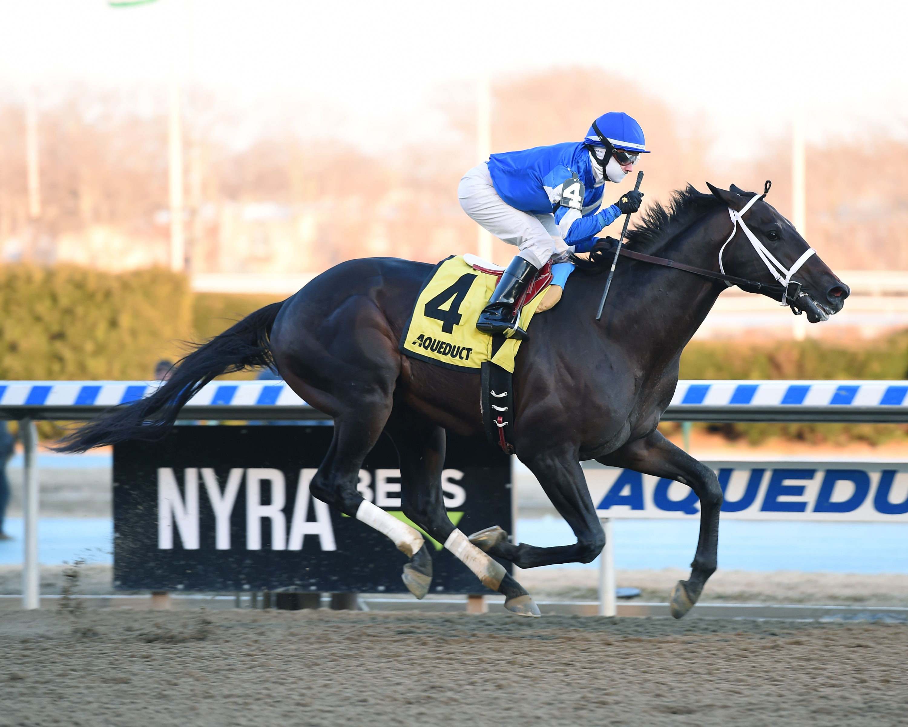 Avery Island wins the 2018 Withers