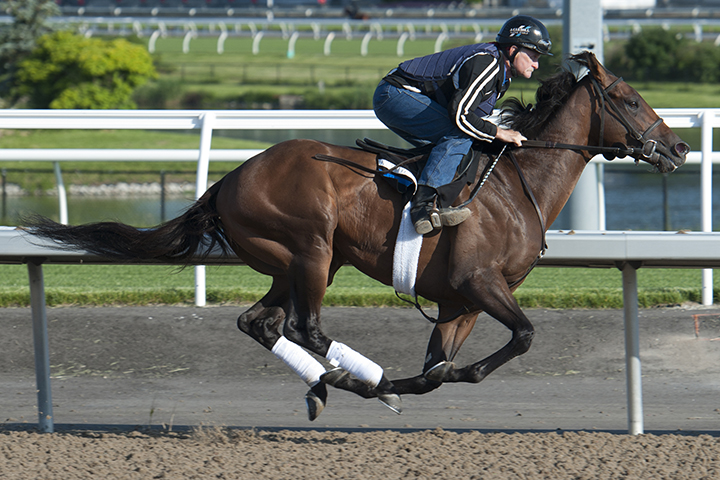 Avie's Flatter trains at Woodbine on June 16