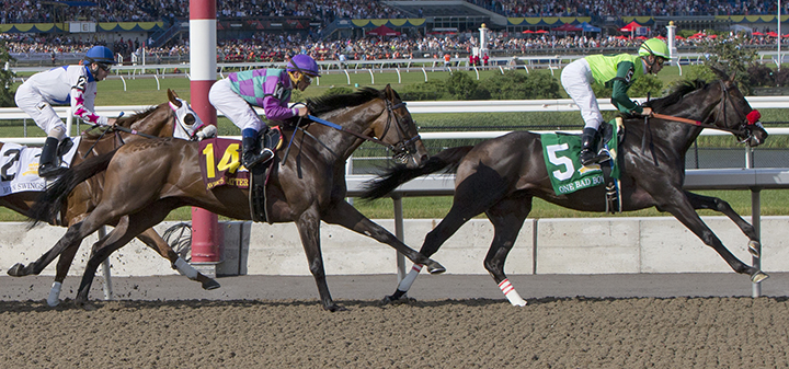 Avie's Flatter is second in the 2019 Queen's Plate