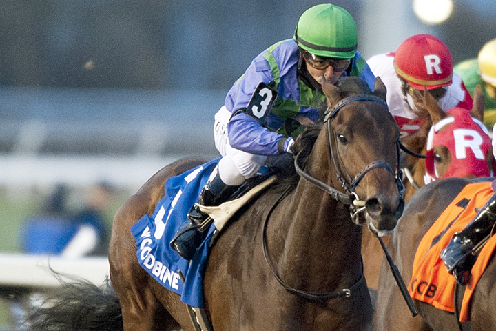 Avie's Flatter wins the Coronation Futurity Stakes