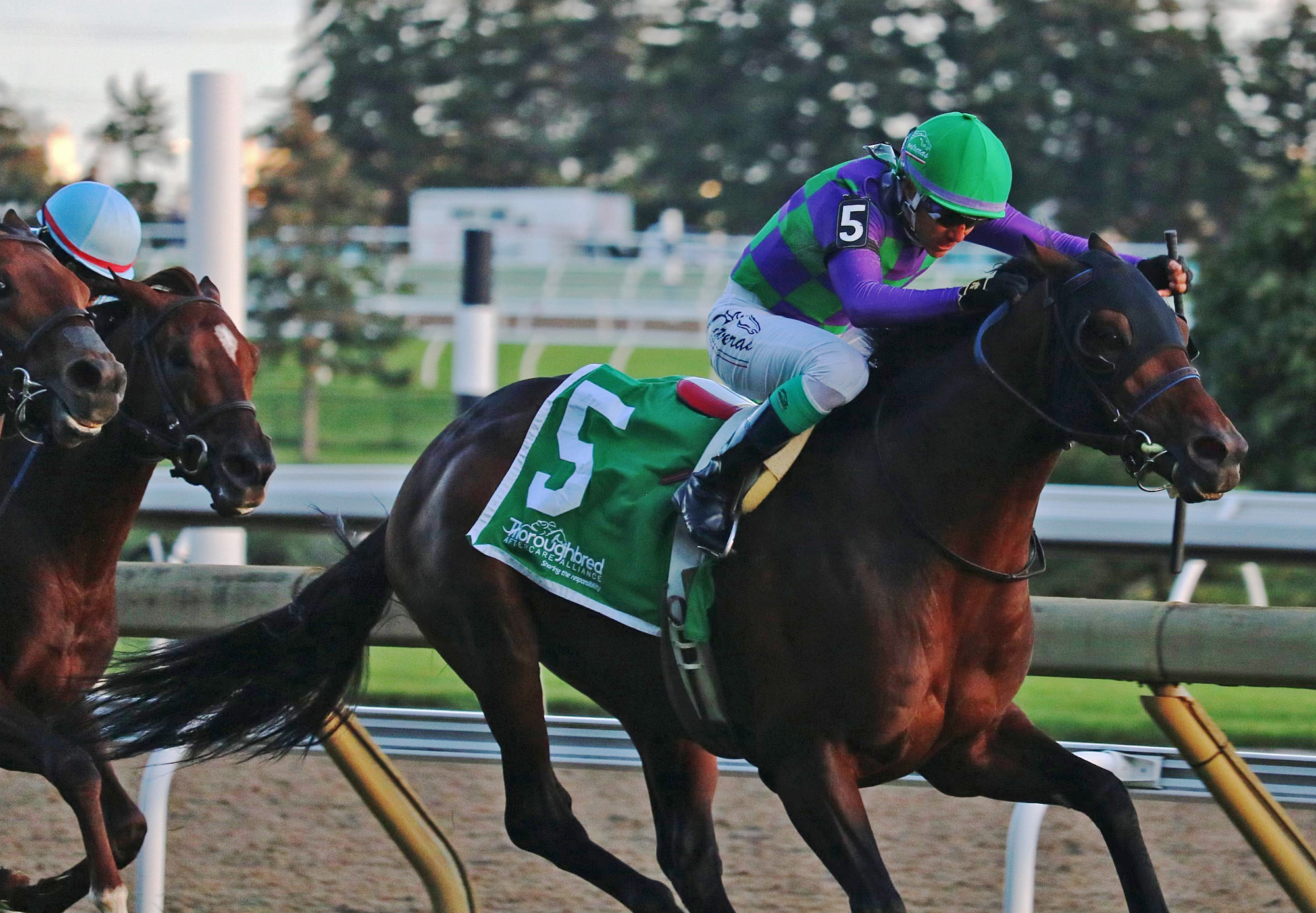 Avie's Flatter wins Nearctic 10-17-2021
