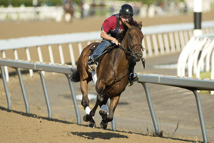 Avie's Flatter trains at Woodbine on June 26