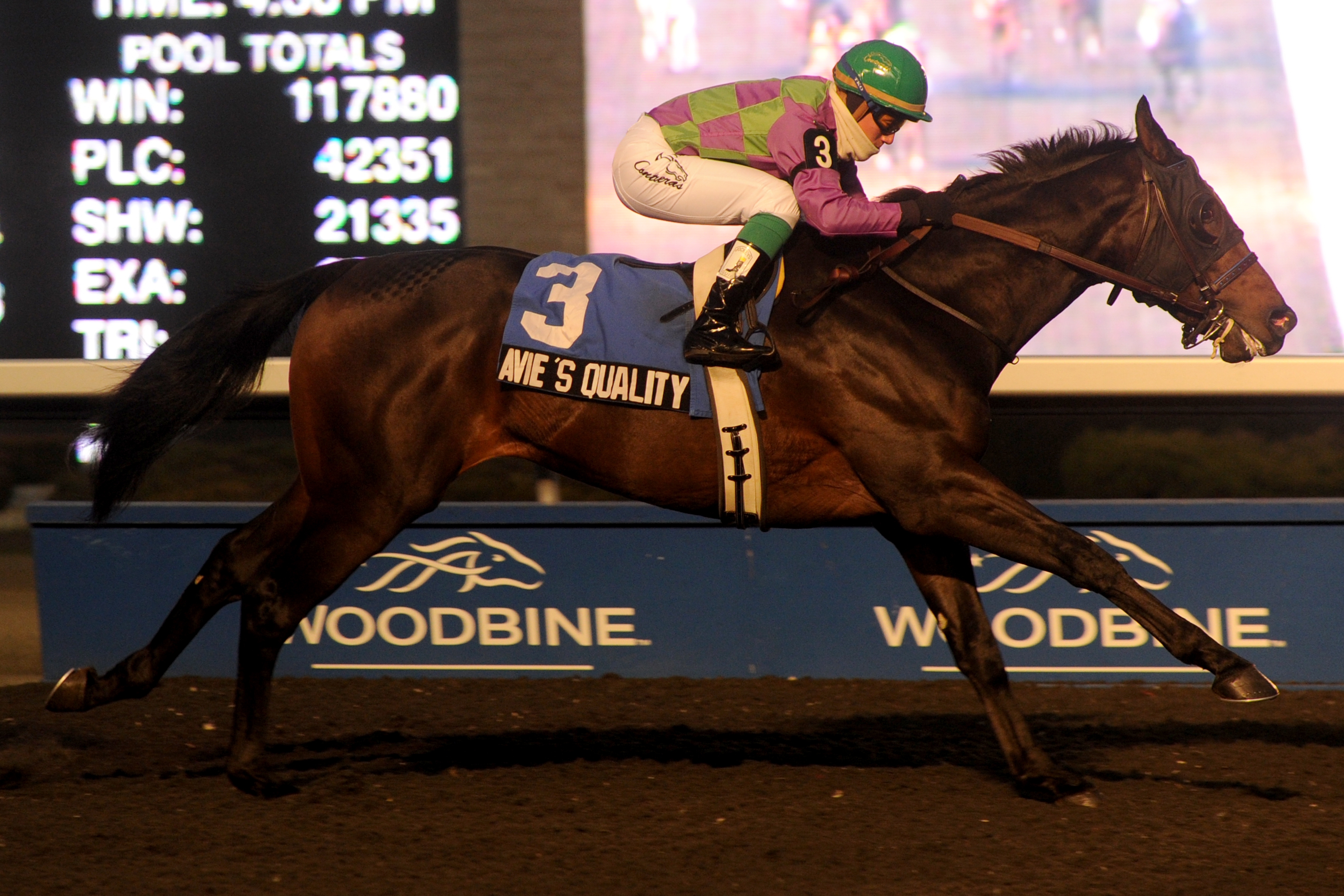 Gulfstream Park: Carroll figuring best course for pair of Derby hopefuls