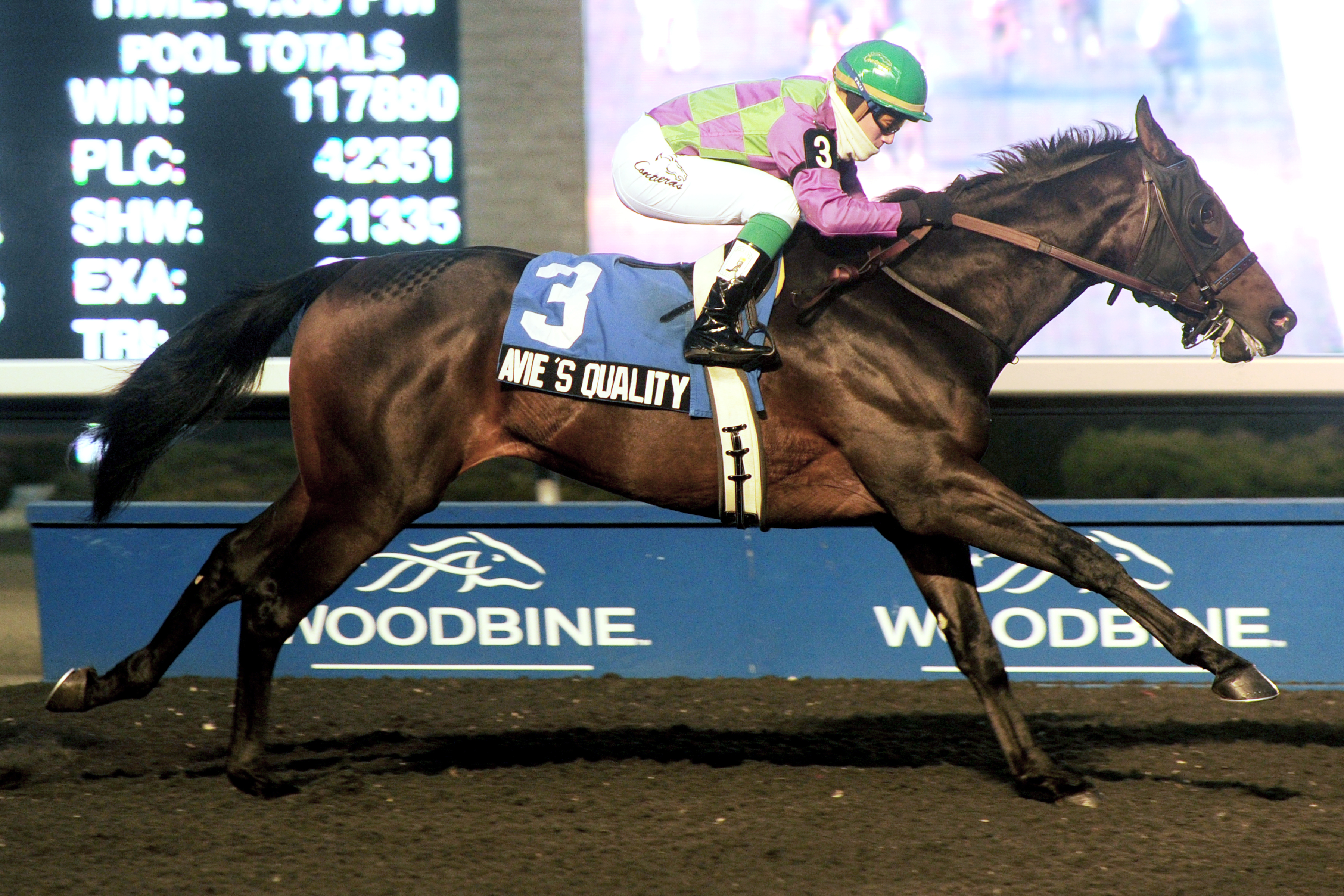 Avie's Quality, Display Stakes