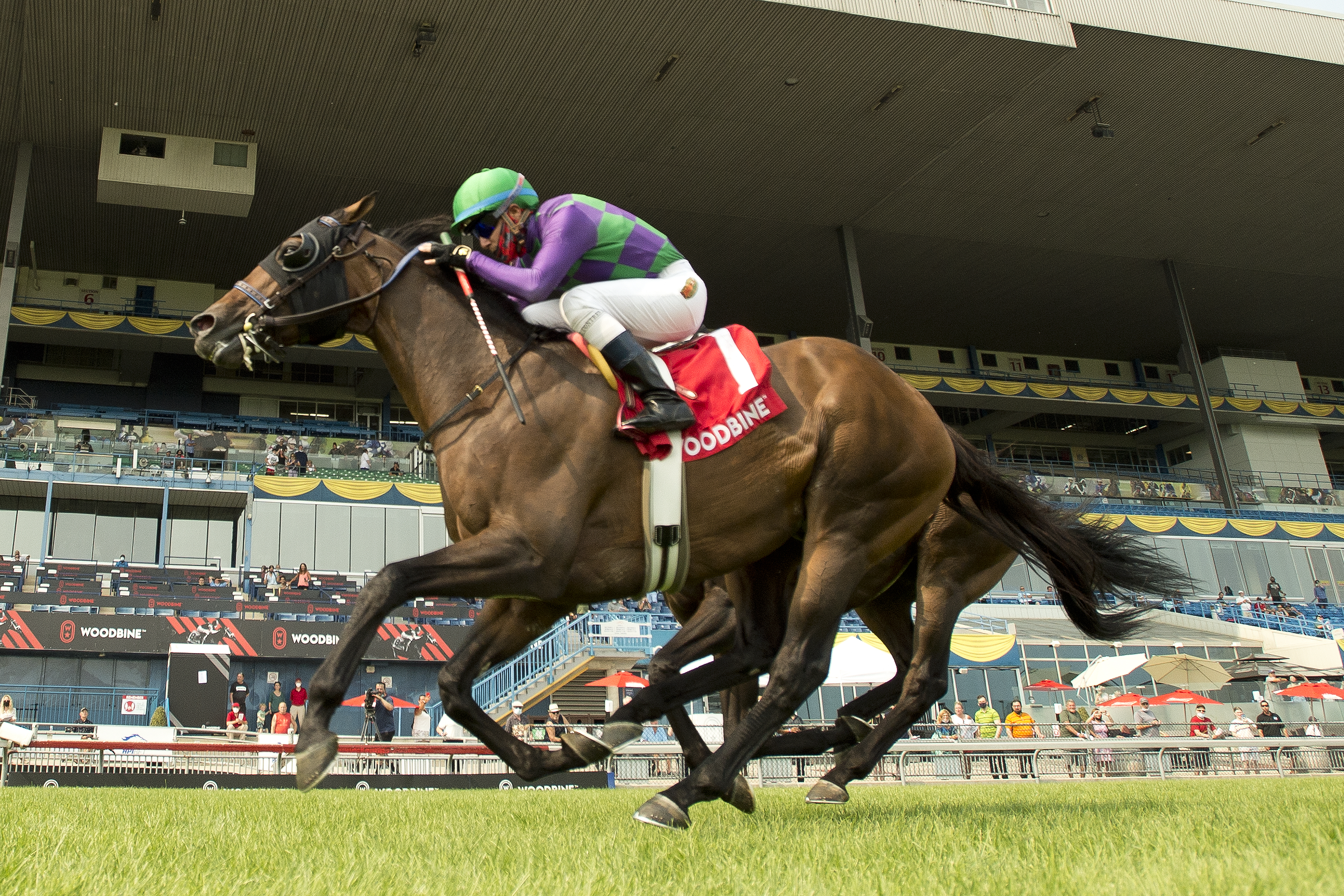Avie's Flatter - Connaught Cup S. 2021