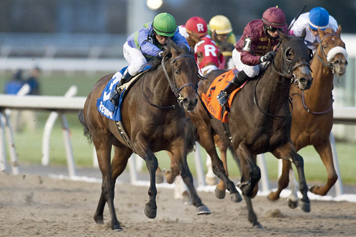 Avie-s Flatter wins the 2018 Coronation Futurity