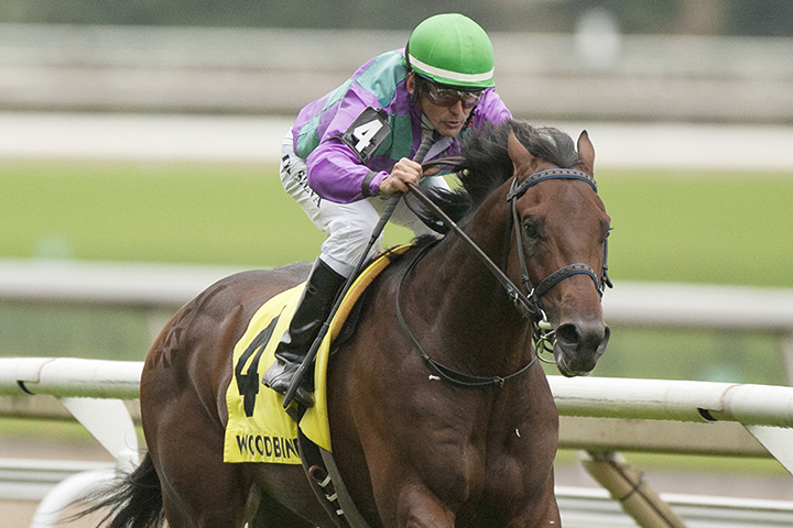 Avie-s Flatter wins the Cup and Saucer Stakes