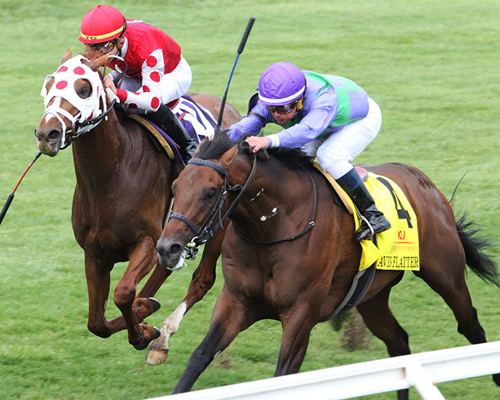 Avie's Flatter wins the Transylvania