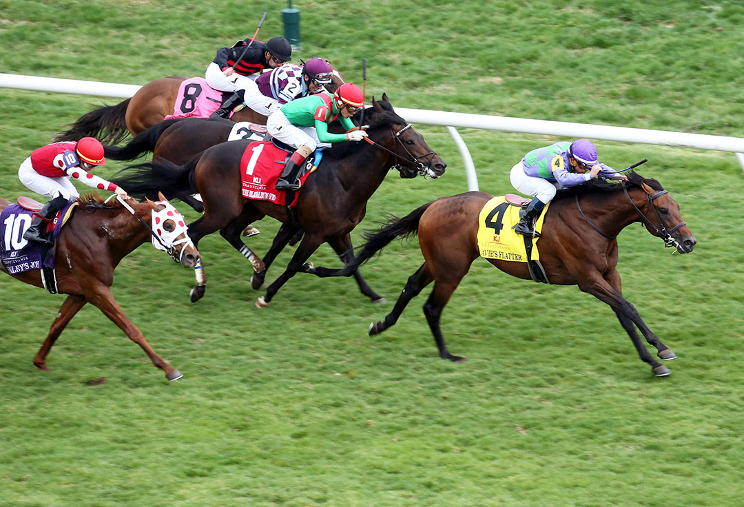 Avie's Flatter wins the 2019 Transylvania at Keeneland Racecourse