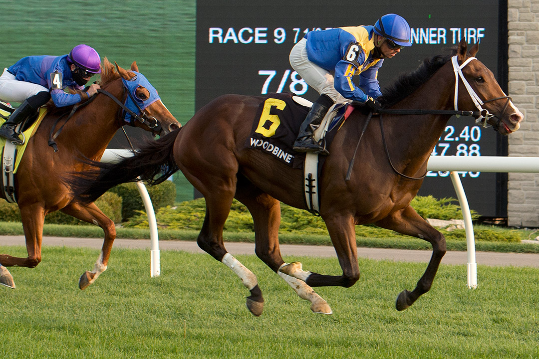 Avoman wins the 2020 Bull Page Stakes at Woodbine Racetrack