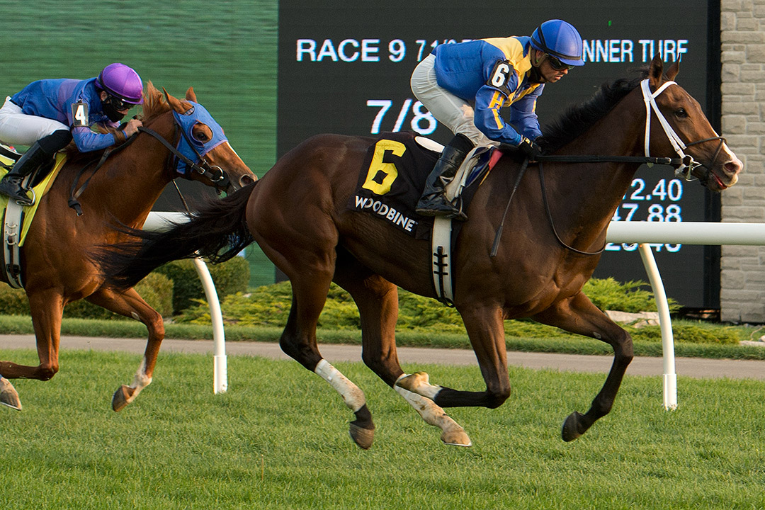 Avoman wins the 2020 Bull Page Stakes at Woodbine Racetrack