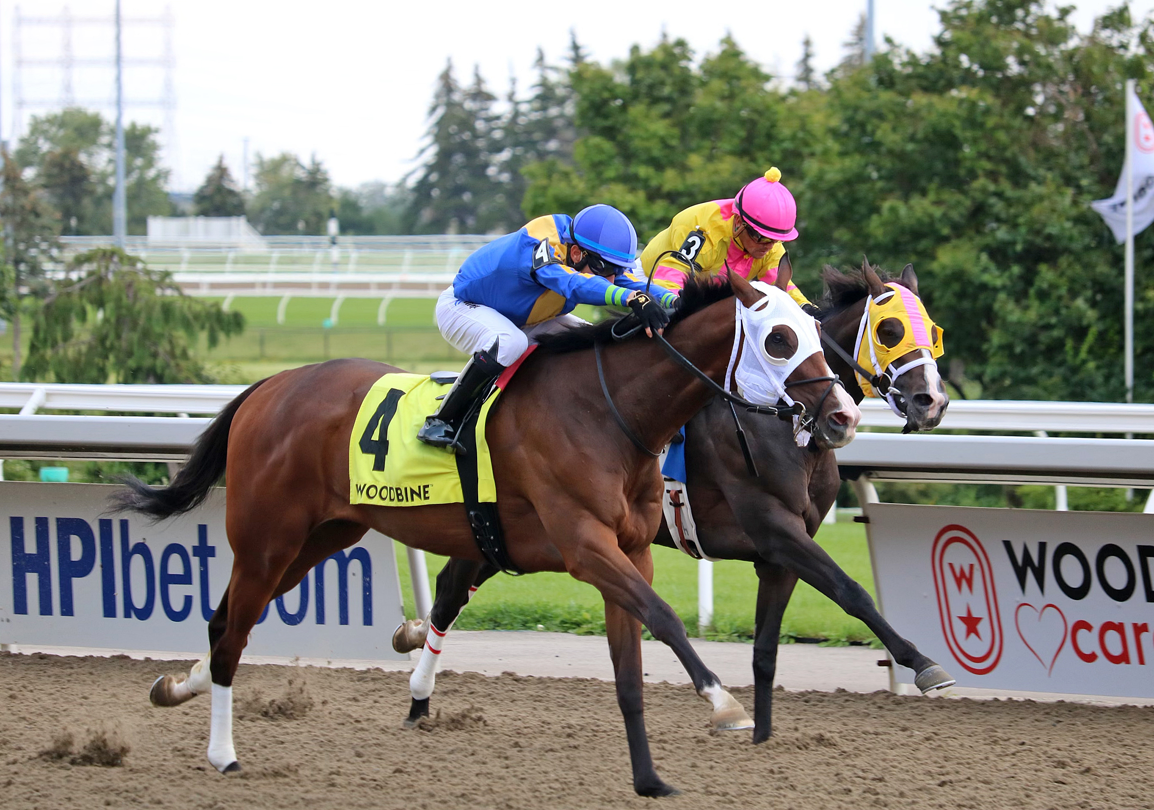 Avoman (4) wins Plate Trial 8-1-2021