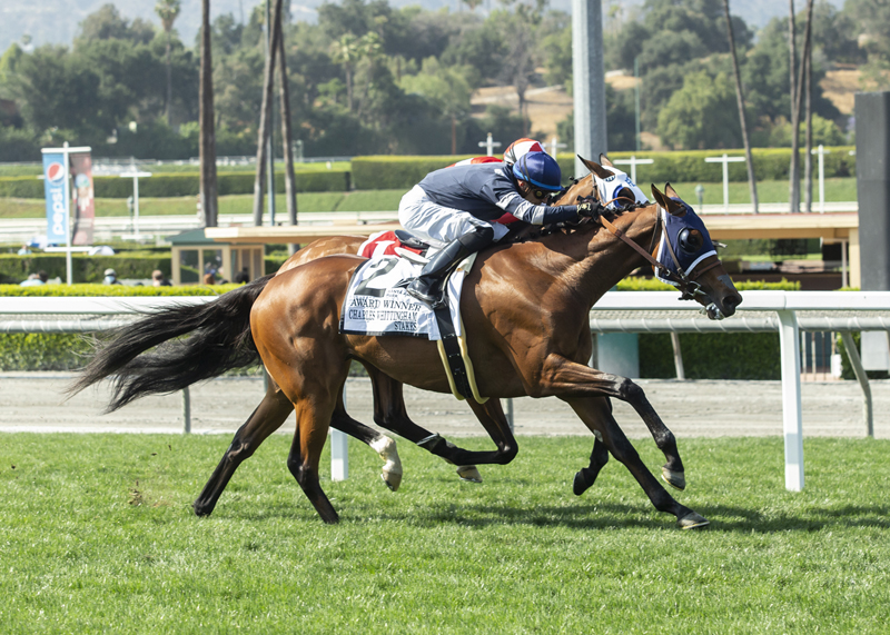 Award Winner wins Charles Whittingham Stakes 5-29-2021