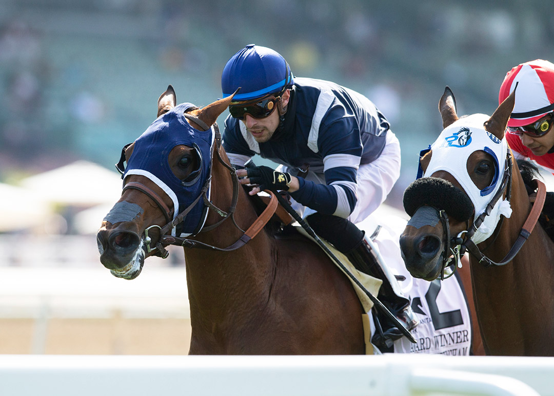 Award Winner wins the 2021 Charles Whittingham Stakes at Santa Anita