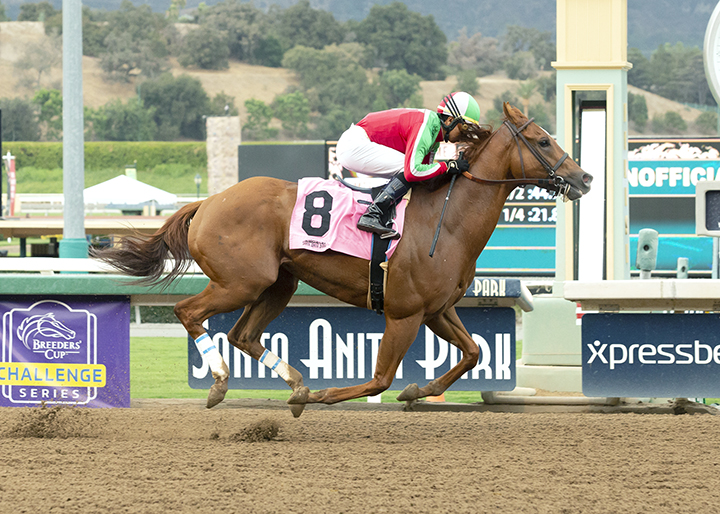 Awesome Anywhere wins an Oct. 6 allowance