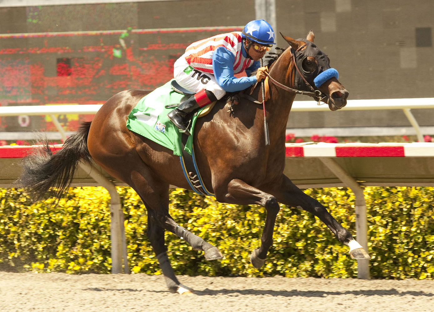 Awesome Baby wins a maiden