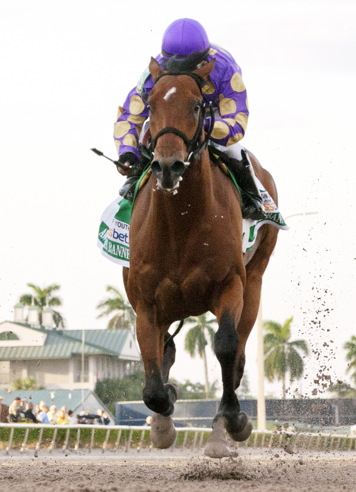 Awesome Banner finishes fifth in the Fountain of Youth