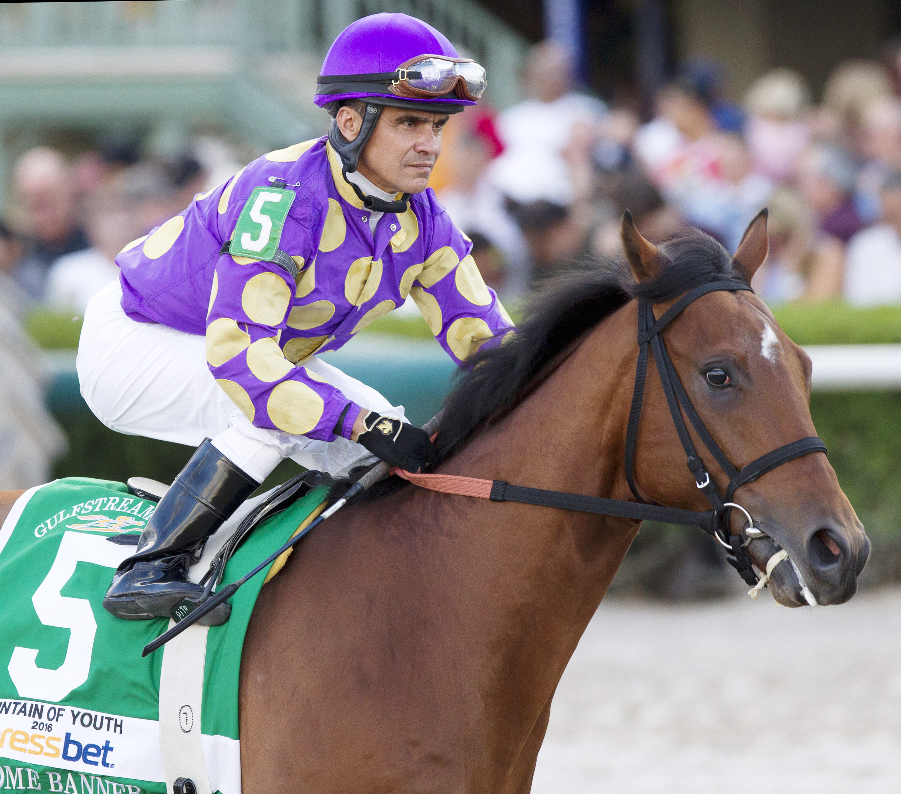 Awesome Banner finishes fifth in the Fountain of Youth