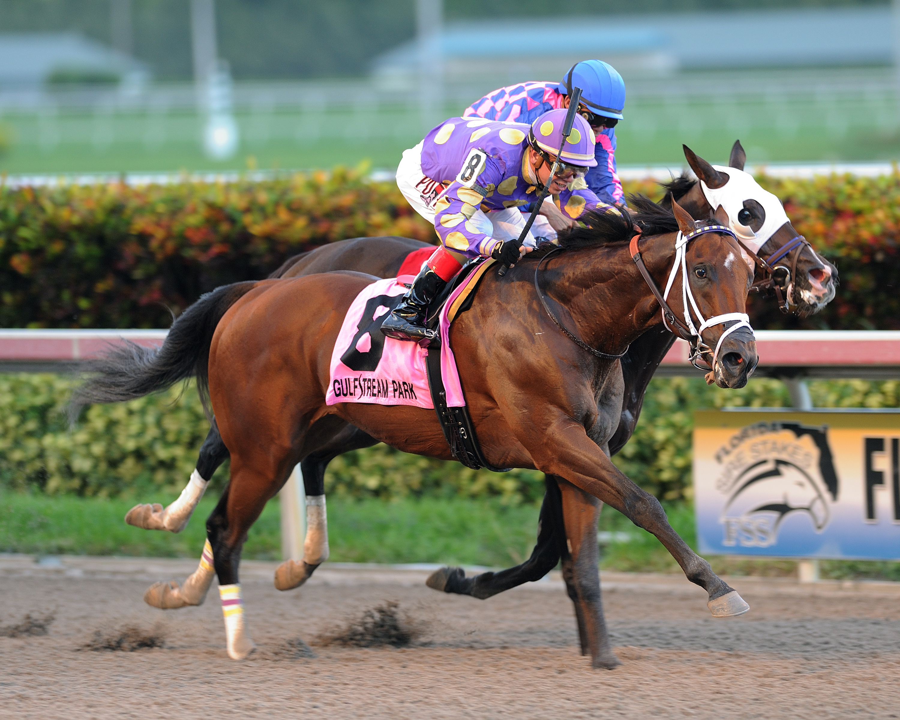 Awesome Banner wins the Prized Stakes