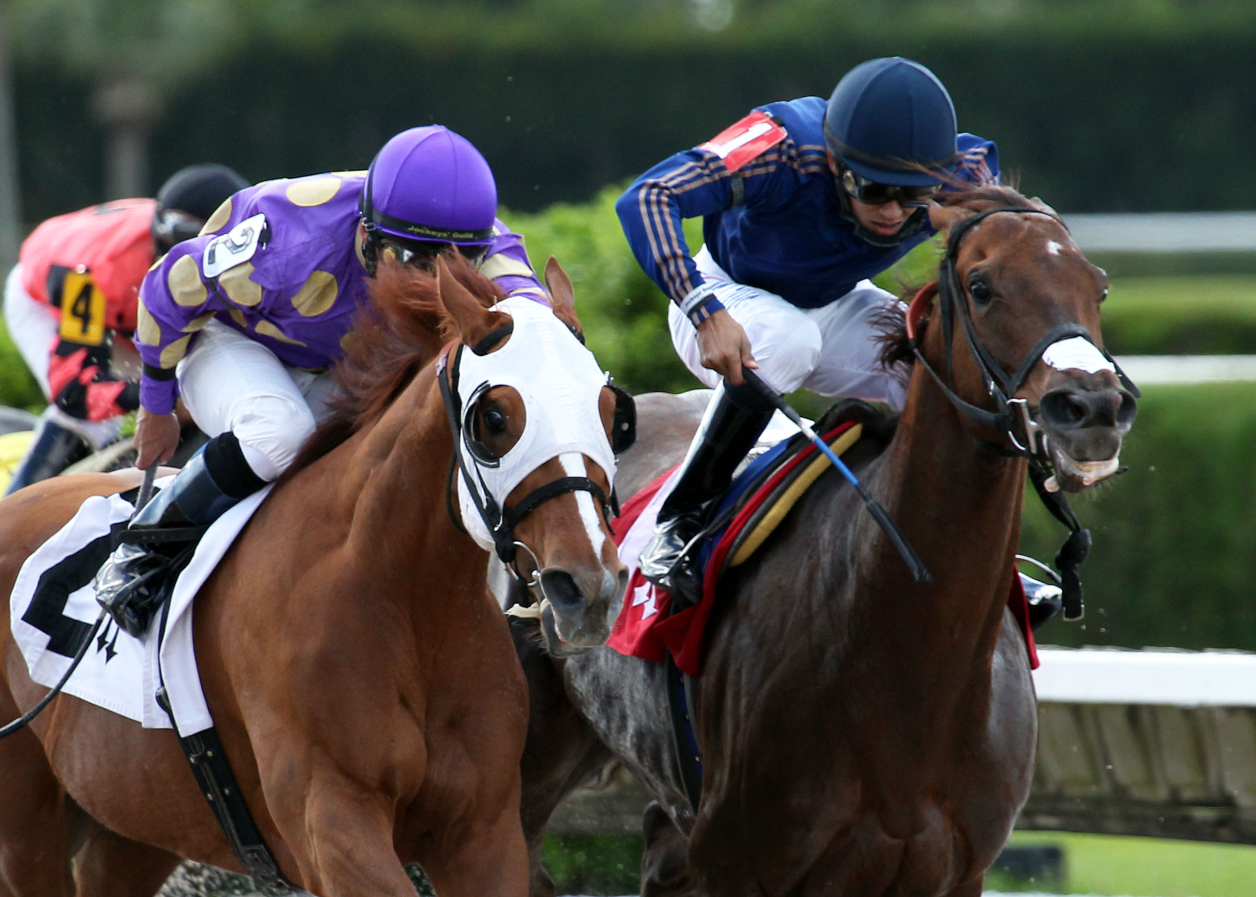 Awesome Belle, Mairzy Doates Stakes