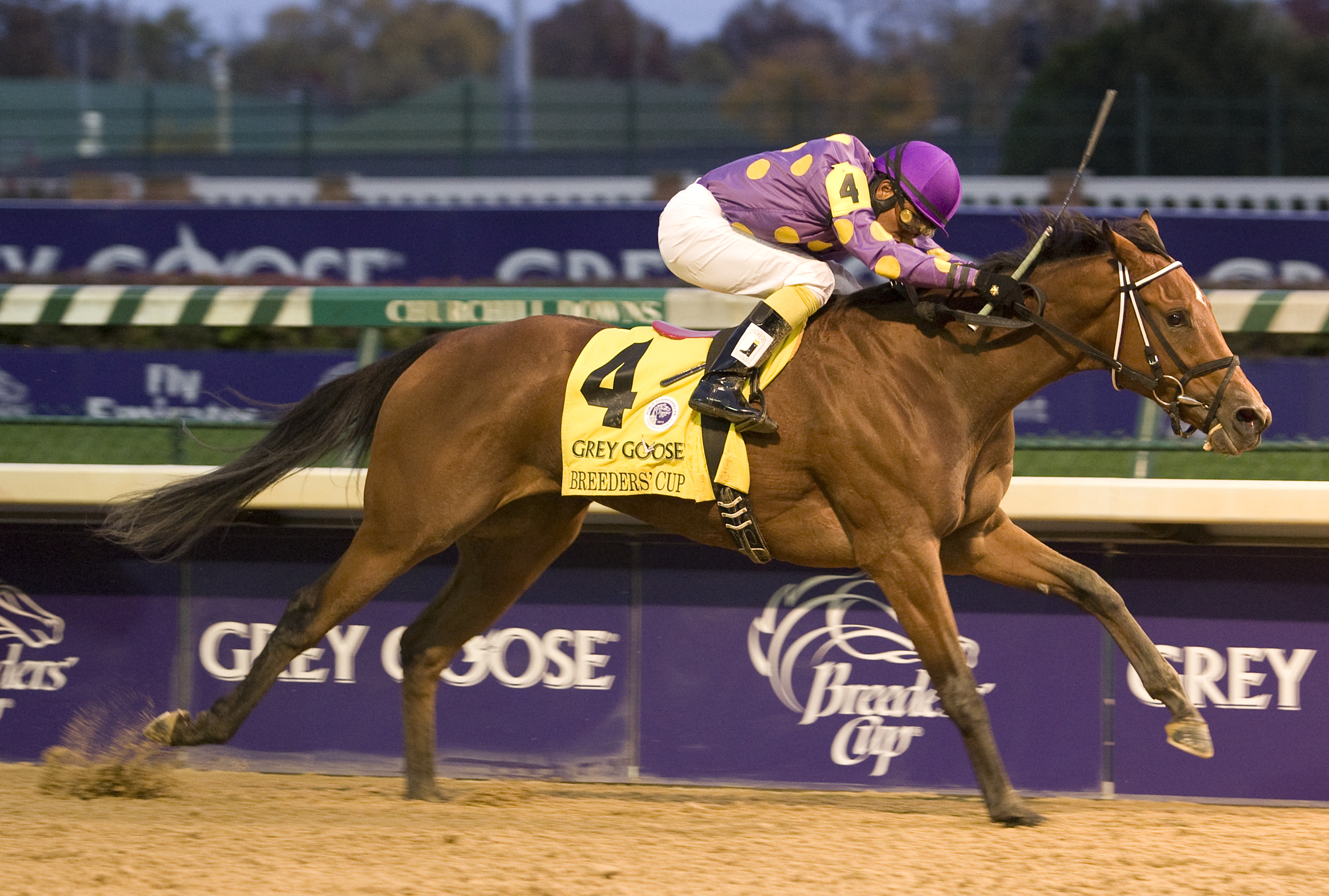 Awesome Feather wins BC Juvenile Fillies