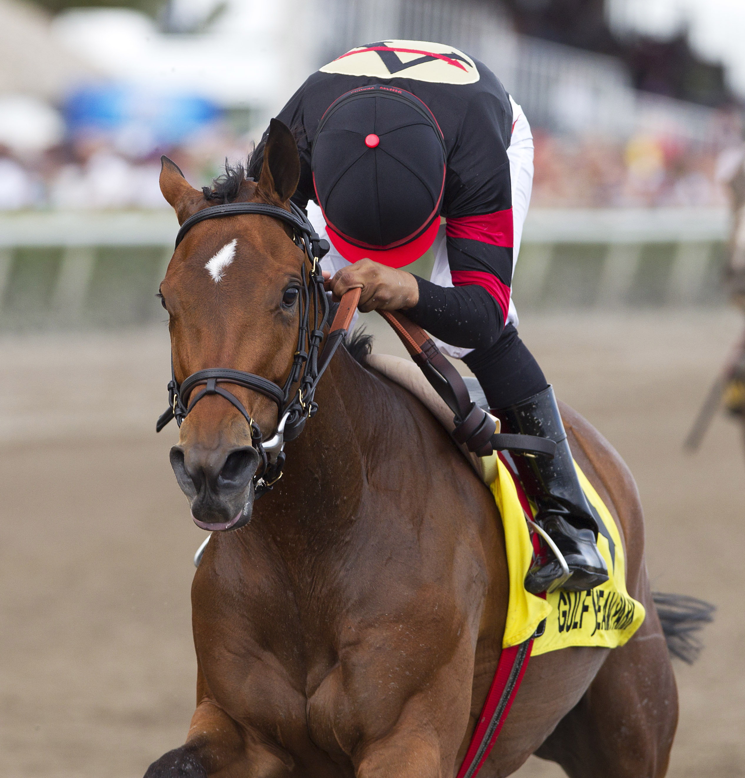 Awesome Feather/Sunshin Millions