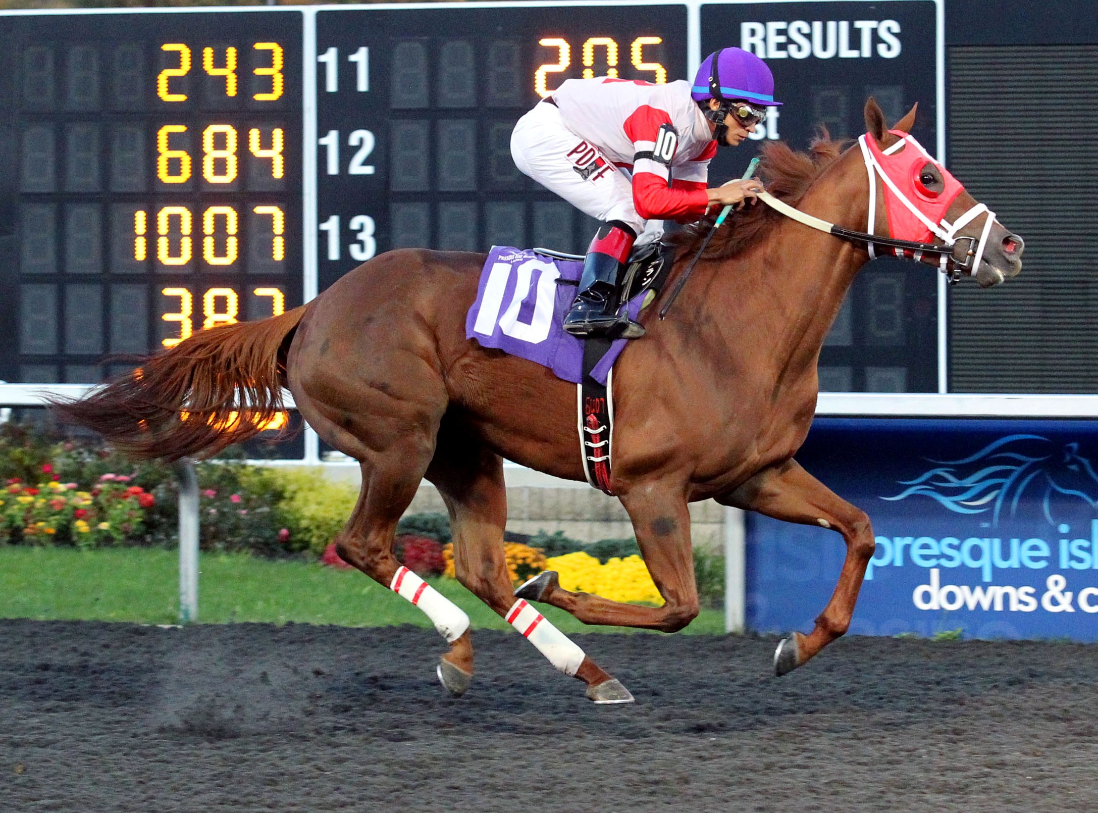 Awesome Flower, HBPA Stakes