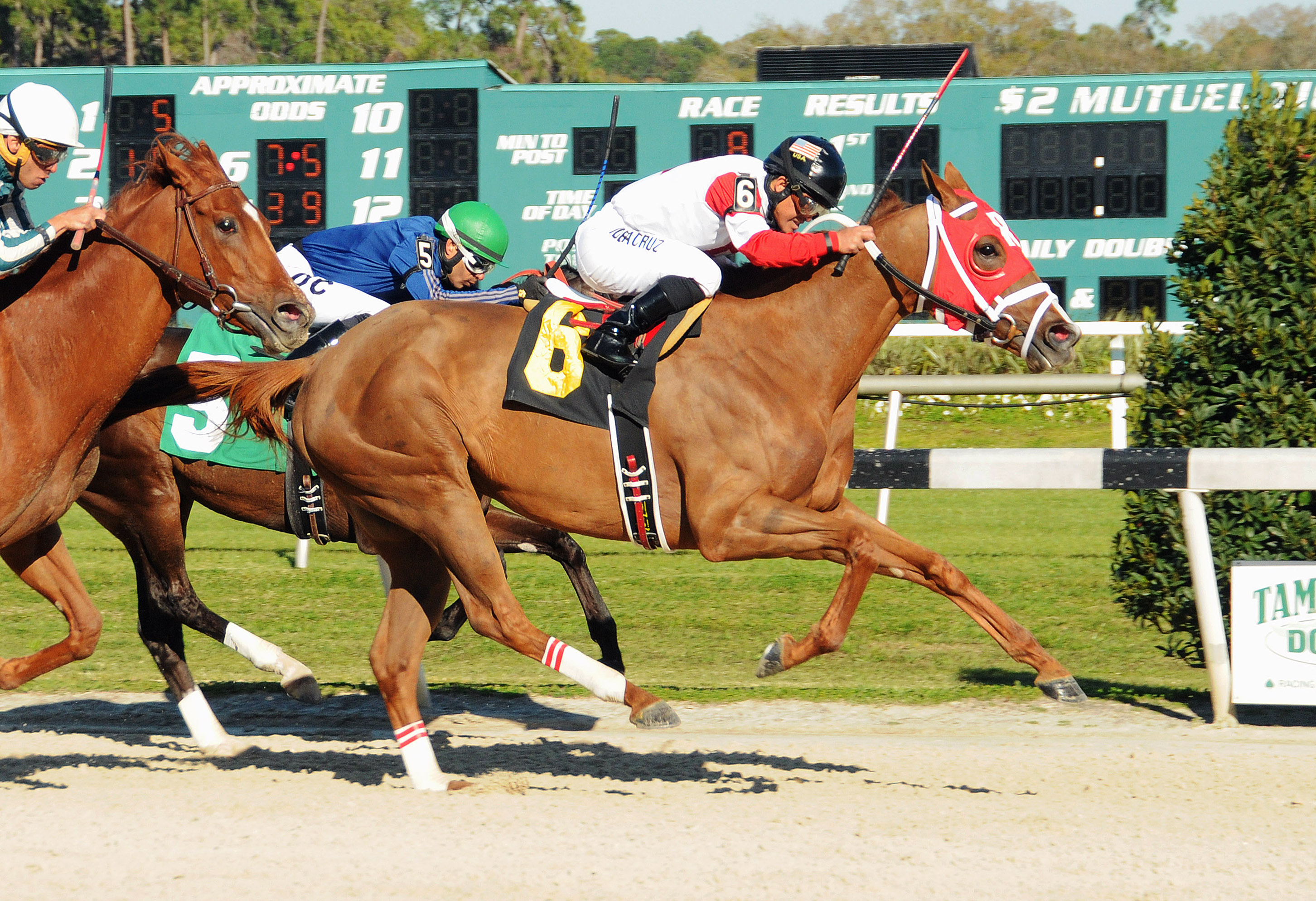 Awesome Flower wins the Wayward Lass