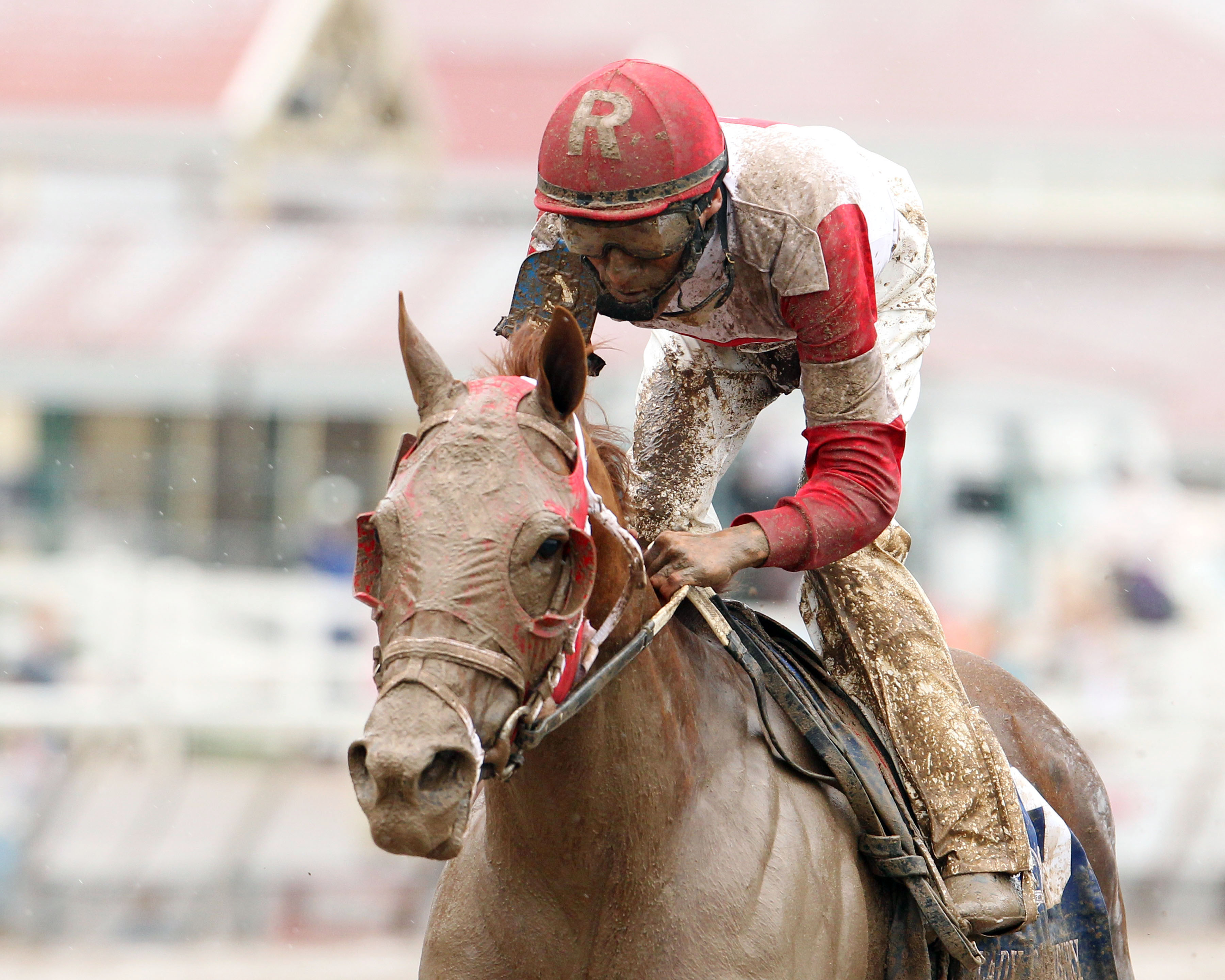 Awesome Flower wins the Lady Canterbury