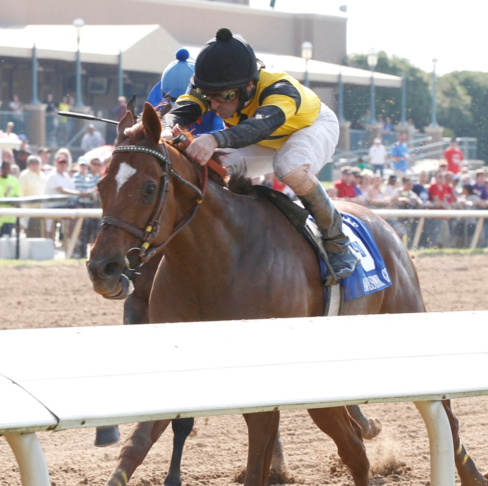 Awesome Gem, 2011 Lone Star Park Handicap