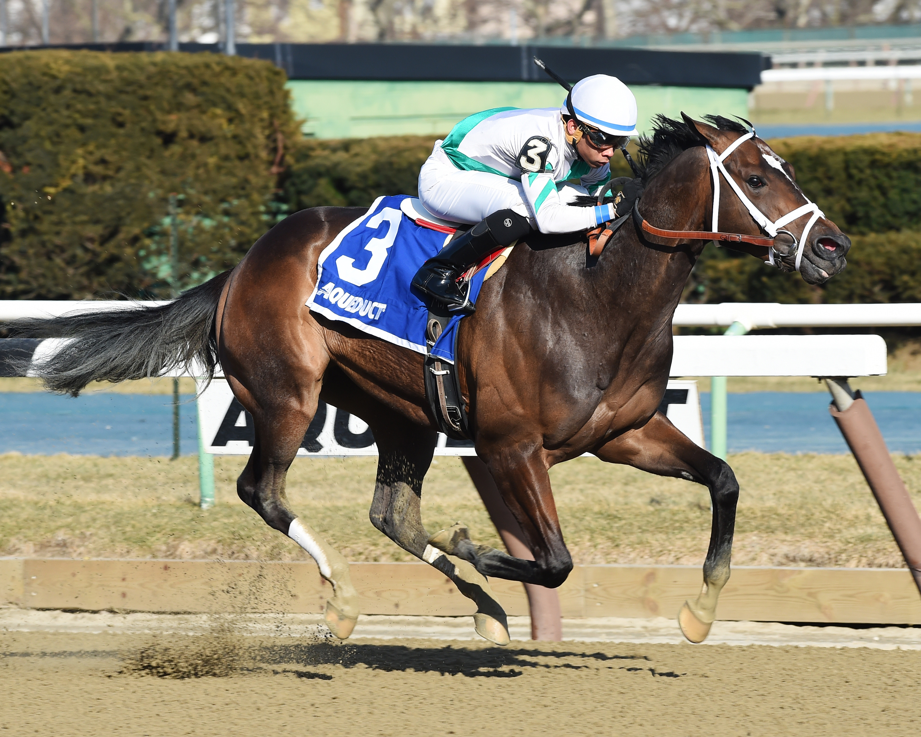 Awesome Gent wins the Jimmy Winkfield