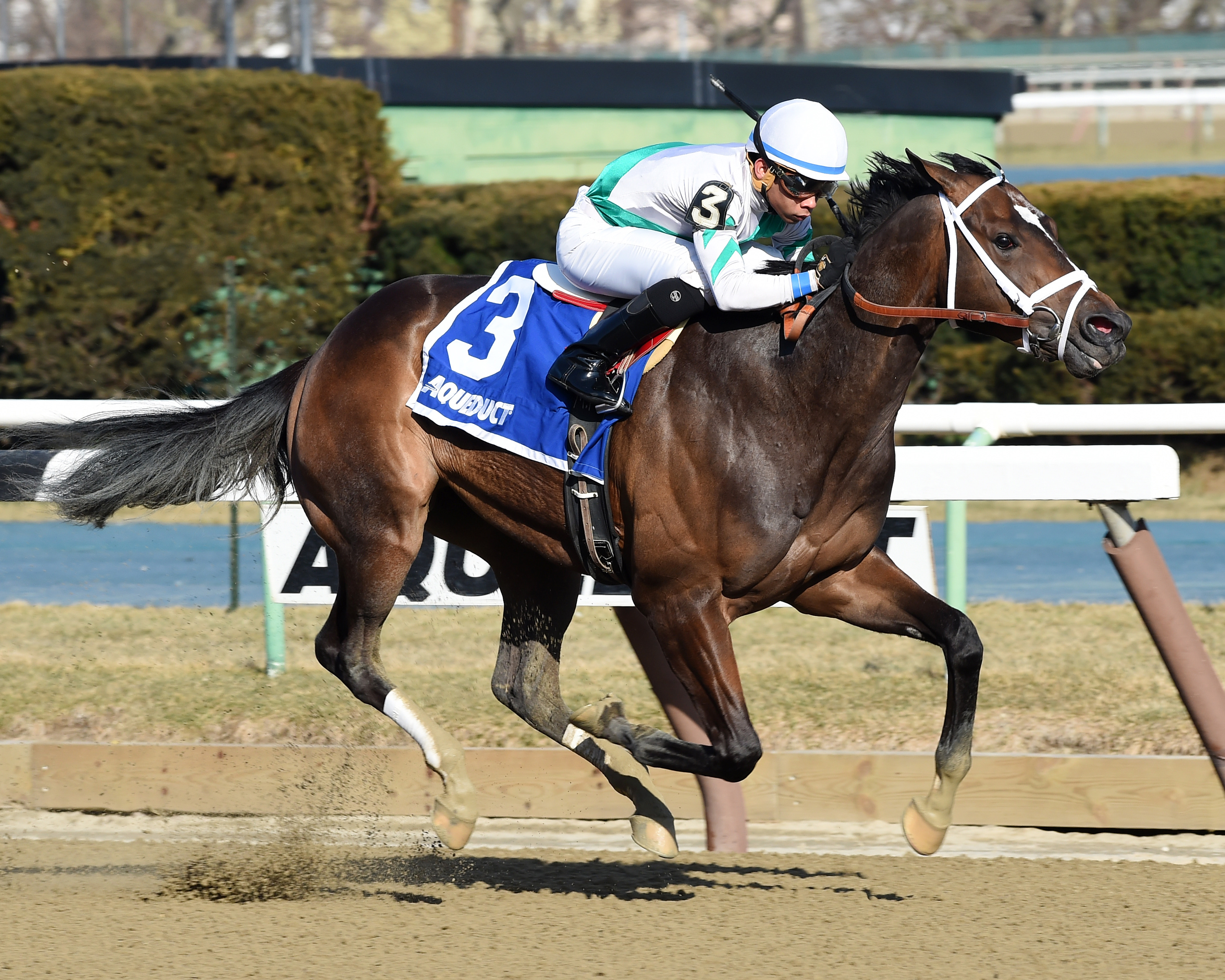 Awesome Gent wins the Jimmy Winkfield