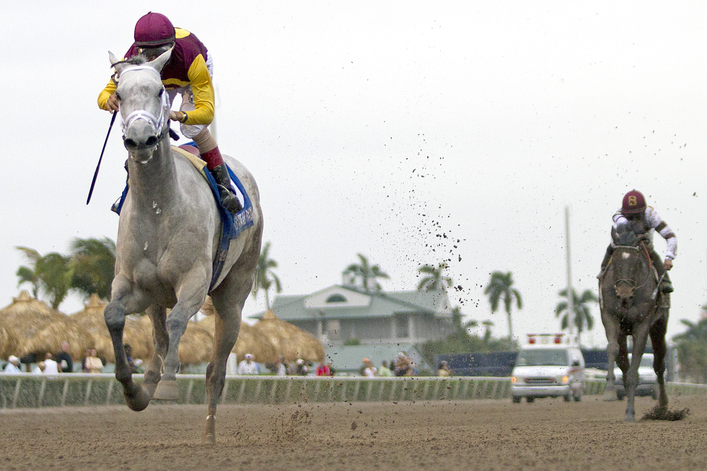 Awesome Maria/Sabin Stakes February 25, 2012