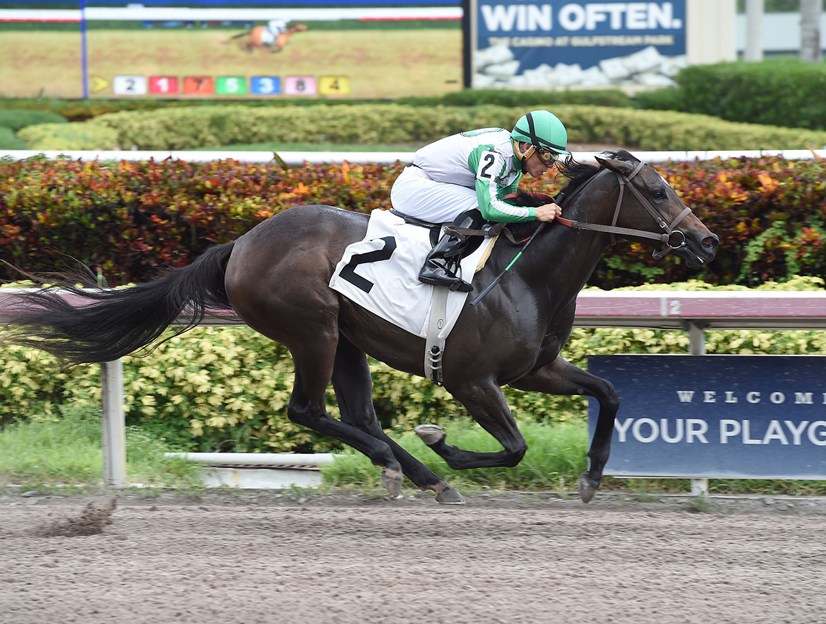 Awesome Mass wins a July 20 maiden race