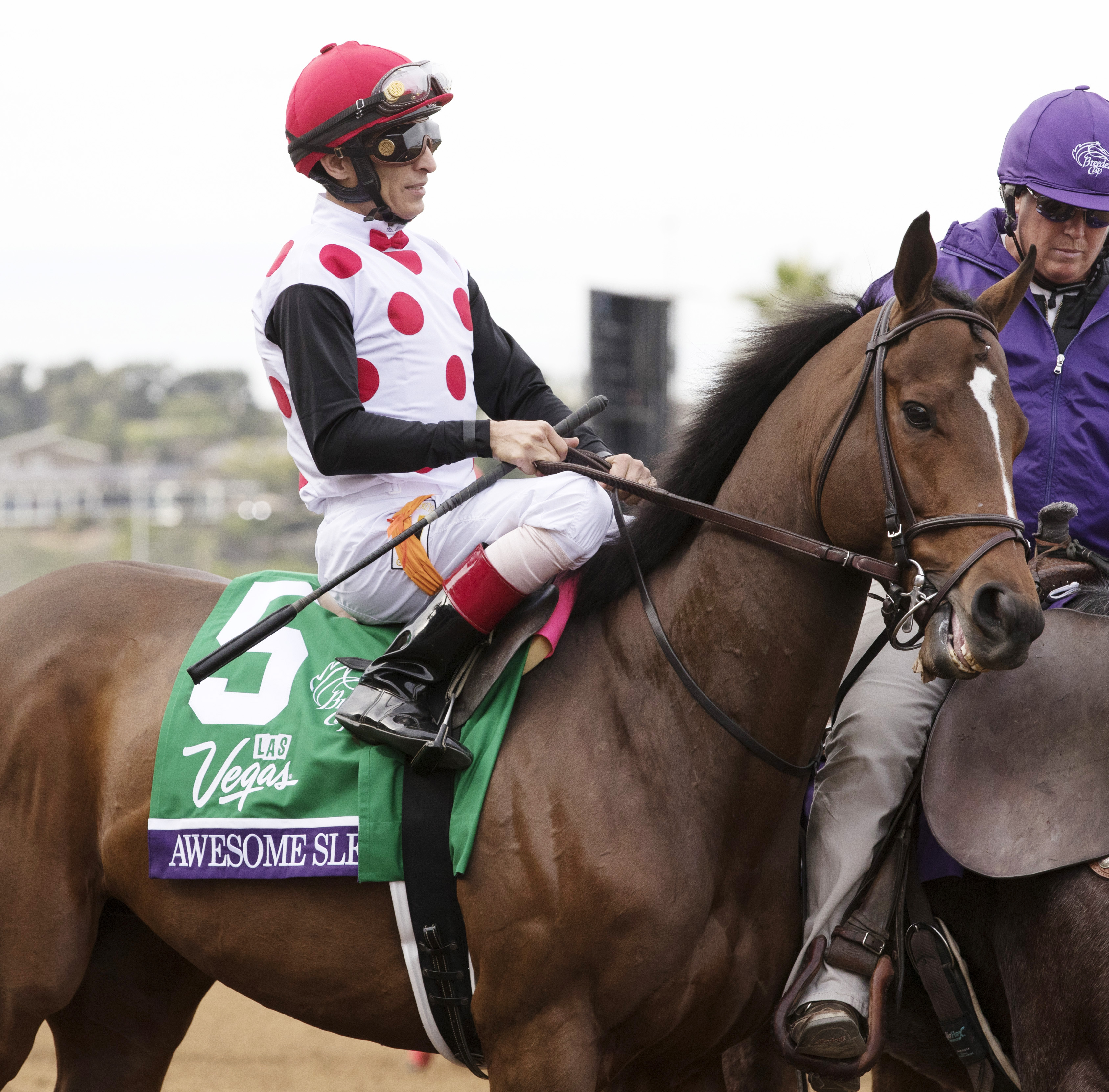 Awesome Slew at the Breeders Cup