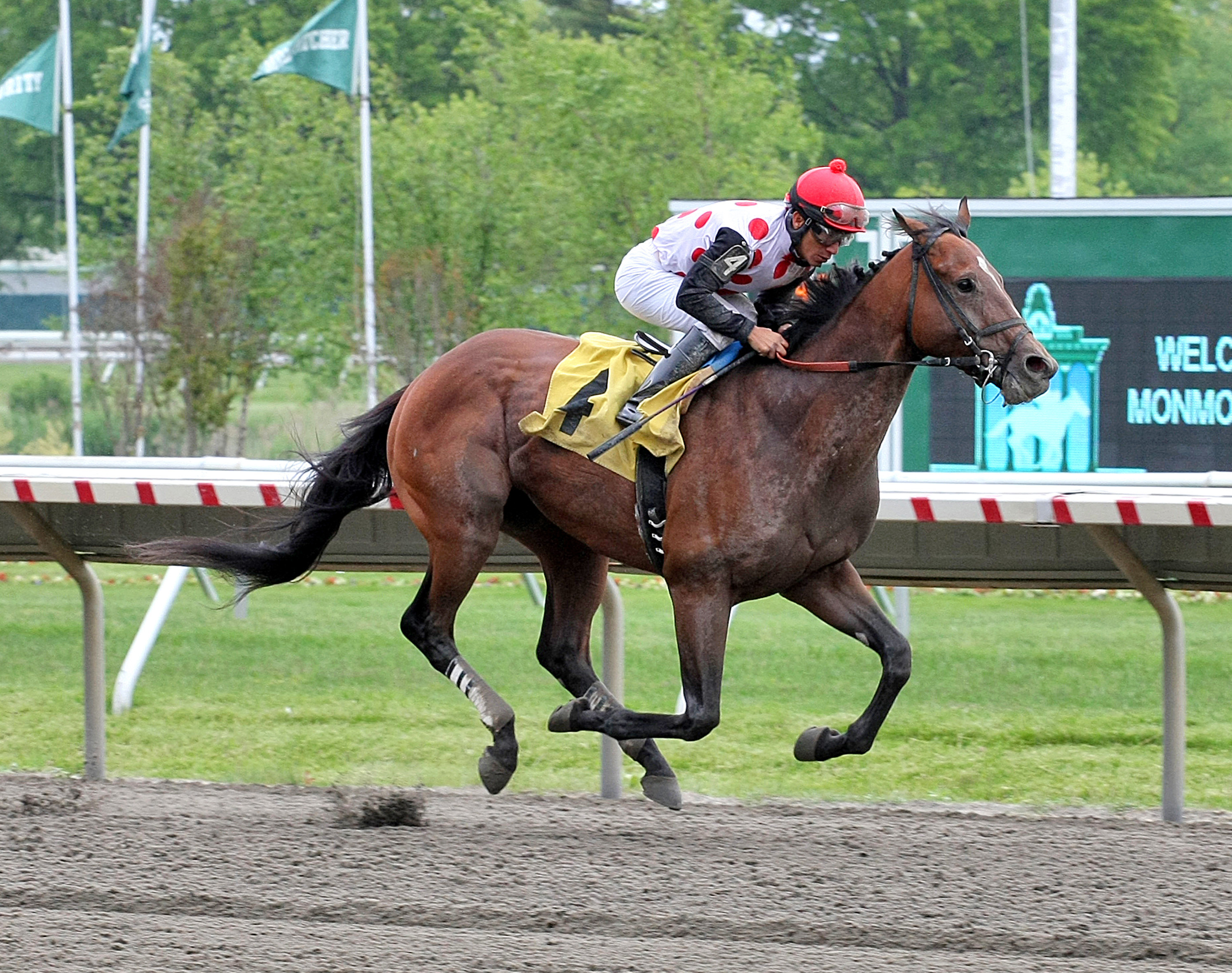 Awesome Slew wins an allowance race at Monmouth